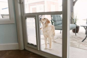 Best Dog Doors for Sliding Glass Doors and Windows