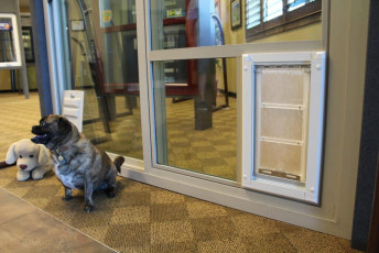 Pet Doors for Sliding Glass Doors