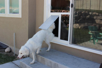 Energy Efficient Pet Doors for Sliding Glass Doors