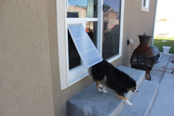 Sliding Glass Dog Door