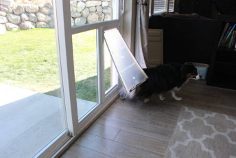 Doggy Door Installed In A Sliding Glass Door