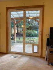 Sliding Glass Pet Door Gallery Image