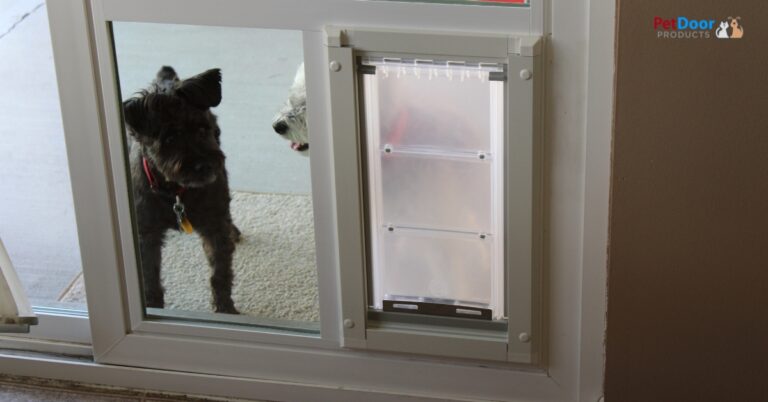 Dog using sliding glass door with built-in pet door