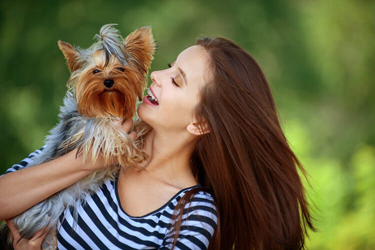 Our team are pet lovers  - small pet door for sliding glass door - Call today for a free quote!