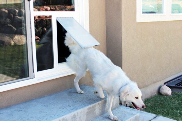 Dog using a pet door for sliding glass doors - Pet Door Products