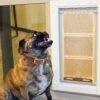 Dog Near Pet Door - Doggie Door For Sliding Glass Door - Pet Door Products