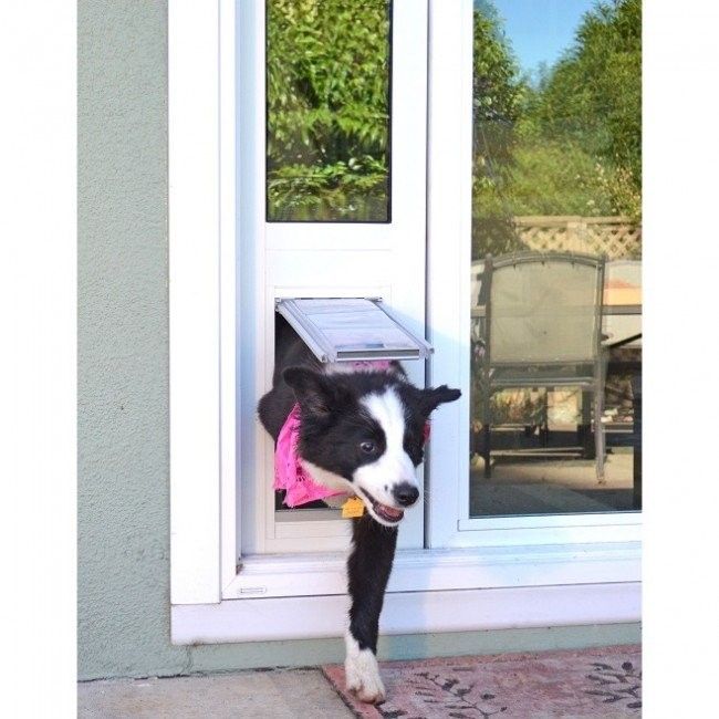Removable Pet Door Endura Flap Thermo, Removable Doggie Door For Sliding Glass