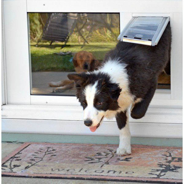 Doggie Door For Sliding Glass Doors, How To Stop Dog From Scratching Sliding Glass Door