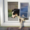 A Dog Using Flap Door- Pet Door Products