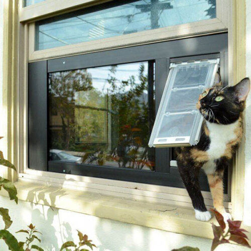 A Cat Coming Out From a Window - Window Pet Door At Pet Door Products