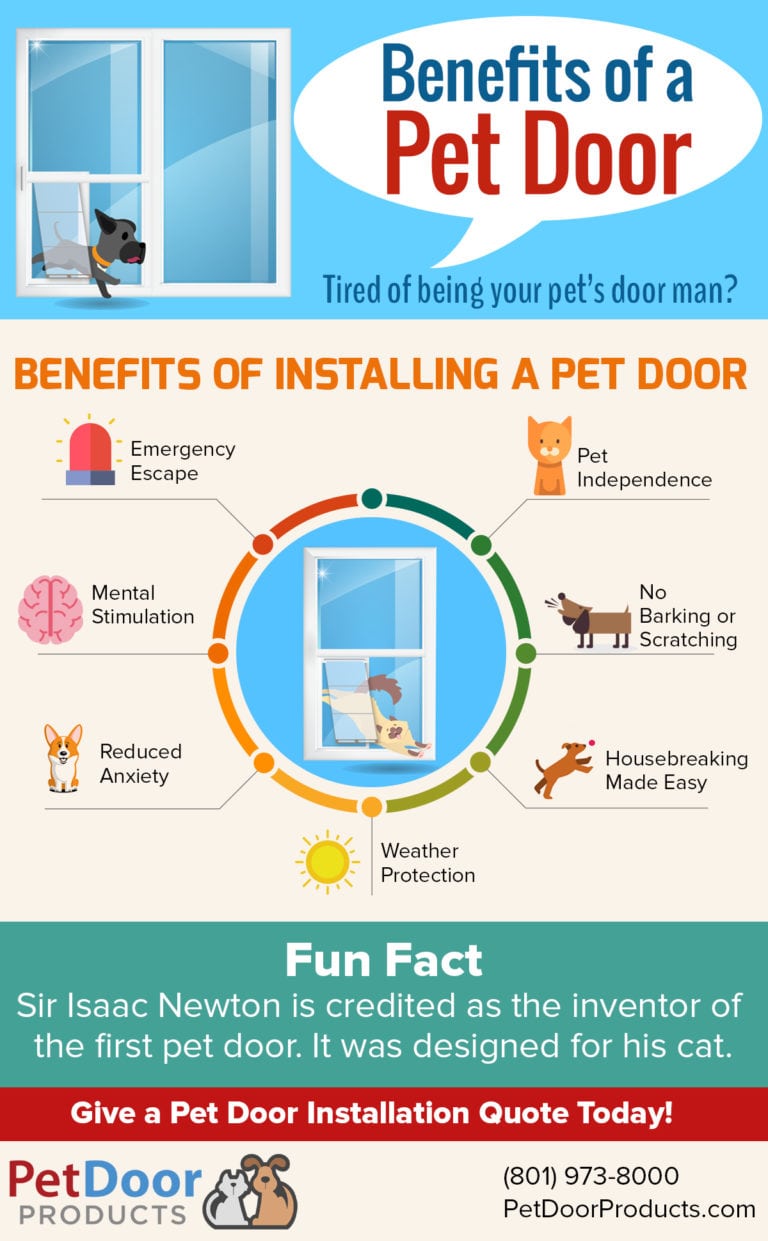 Sliding Glass Pet Door Installation Doggie Door installation service
