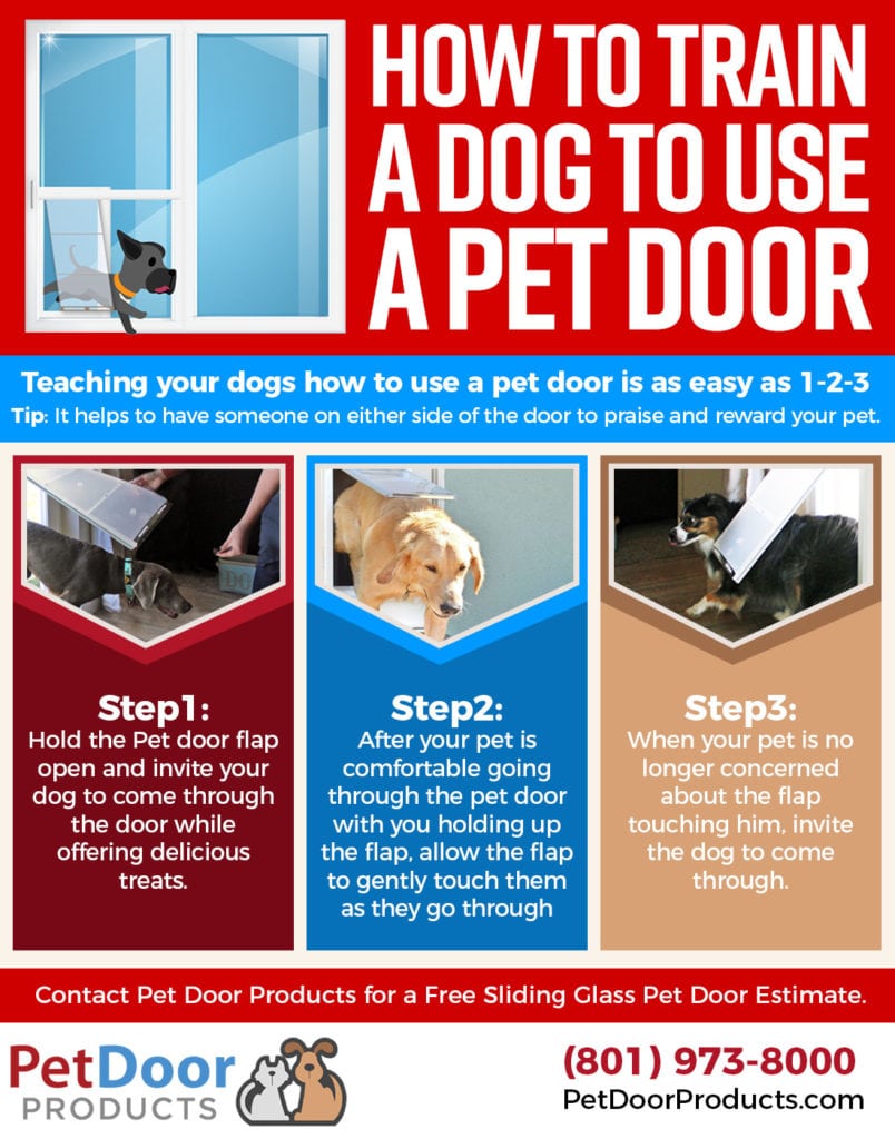 How to train a dog to use a dog door infographic - Pet Door Product in Salt Lake City, Utah