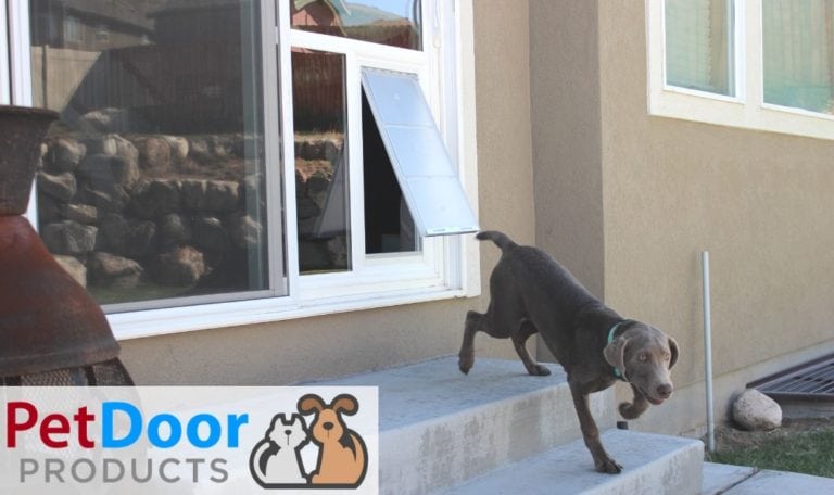 Large dog using dog door photo - Large dog door for sliding glass door