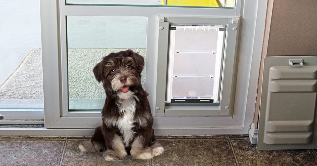 Pet Doors for Small Dogs - Pet Door Products Utah