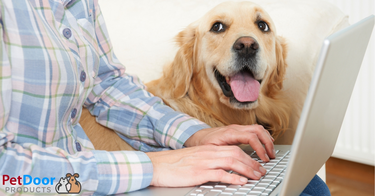 Benefits of Dogs in the Workplace - Pet Door Products Utah