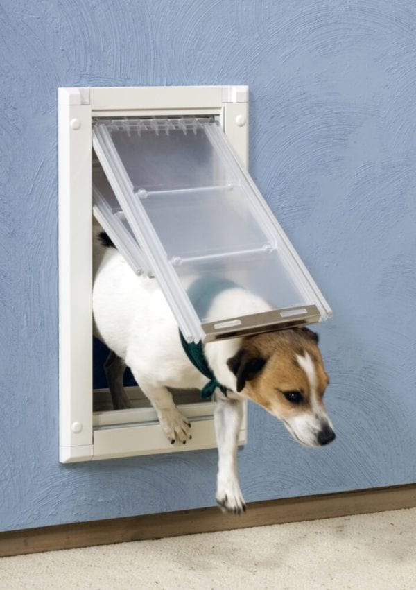 Doggy Door with Wall Mount