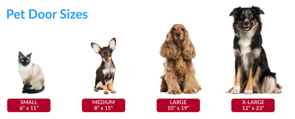 Pet Door Size graphic - Best dog flaps doors