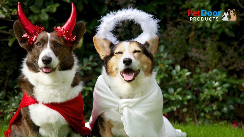 Halloween Safety Tips for Pets - Pet Door Products in Salt Lake City, Utah