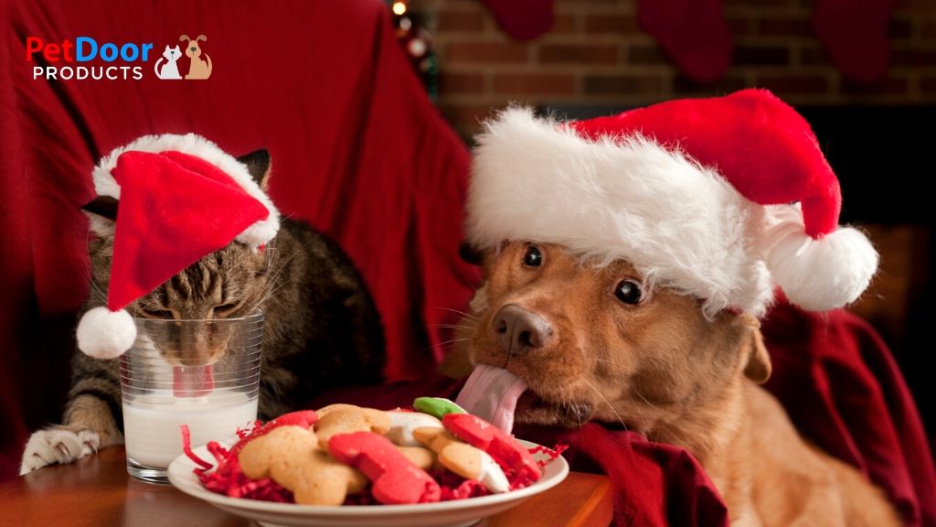 How to Keep Pets Calm During Holiday Parties - Pet Door Products in Salt Lake City, Utah