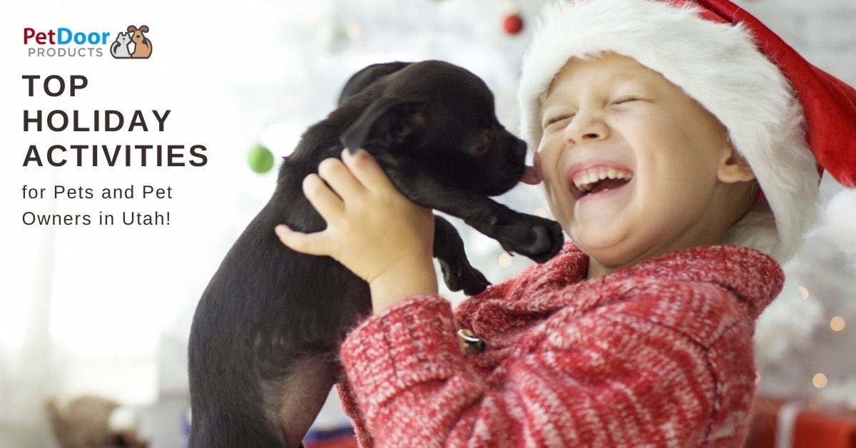Child With Puppy Laughing