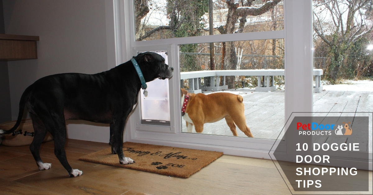 High-Quality Energy-Efficient Pet Door for Your Sliding Glass Door- Call Pet Door Products