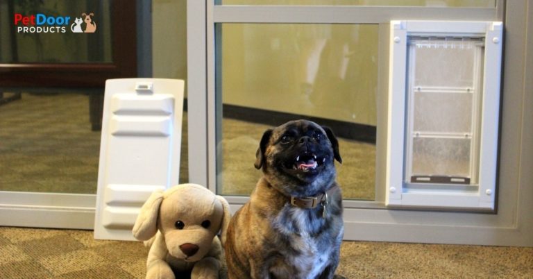 Happy Dog in Front of Best Energy Efficient Doggie Door