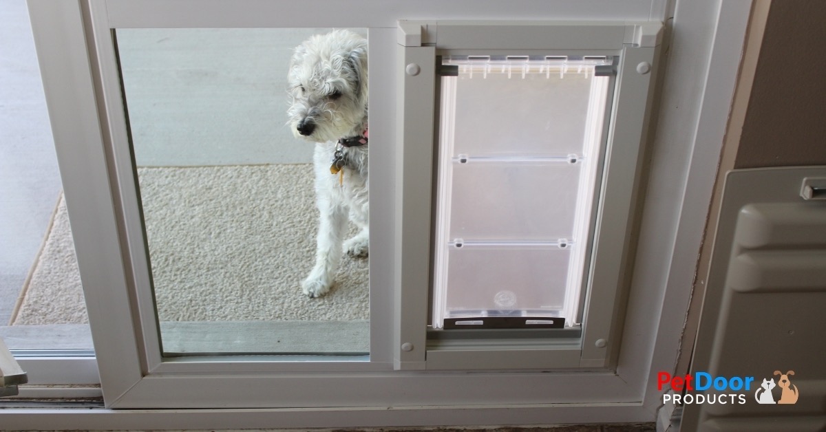 Dog Standing Near the Endura Flap Pet Door