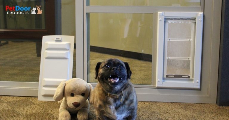 Happy Dog in Front of a Flexible Dog Door