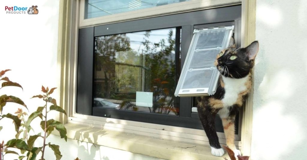 What You Need To Know About Cat Door for Sliding Windows