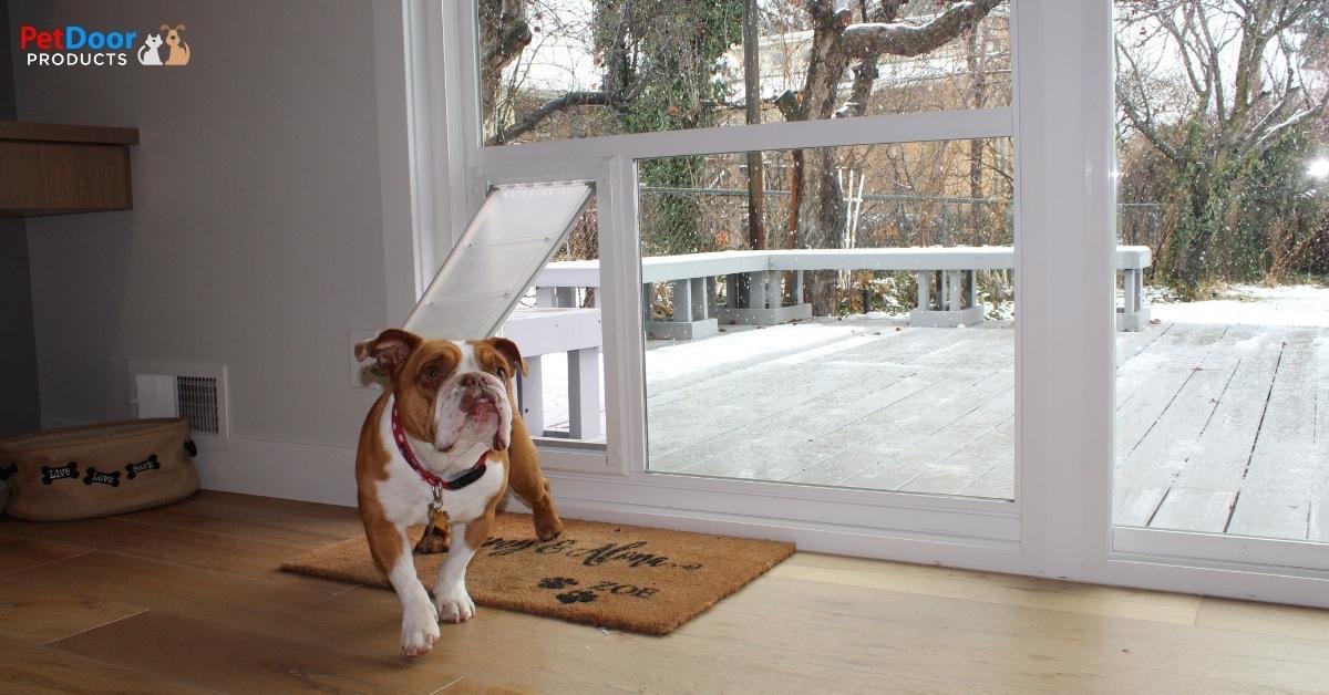 Prevent Door Drafts - Install a Sliding Glass Dog Door From Pet Door Products