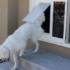 Sliding Glass Pet Door - High-Quality Pet Door