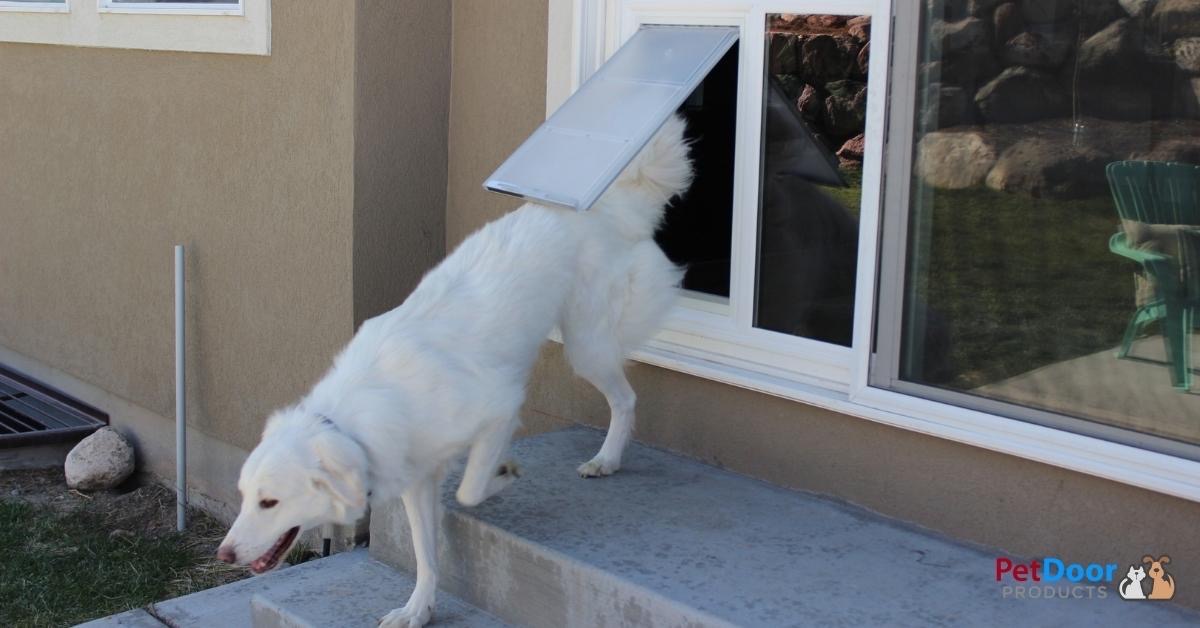Sliding Glass Pet Door - High-Quality Pet Door