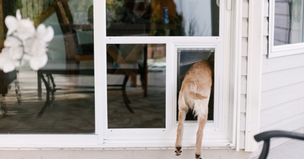 Custom Door with Dog Door in Utah - Custom Pet Doors in Utah