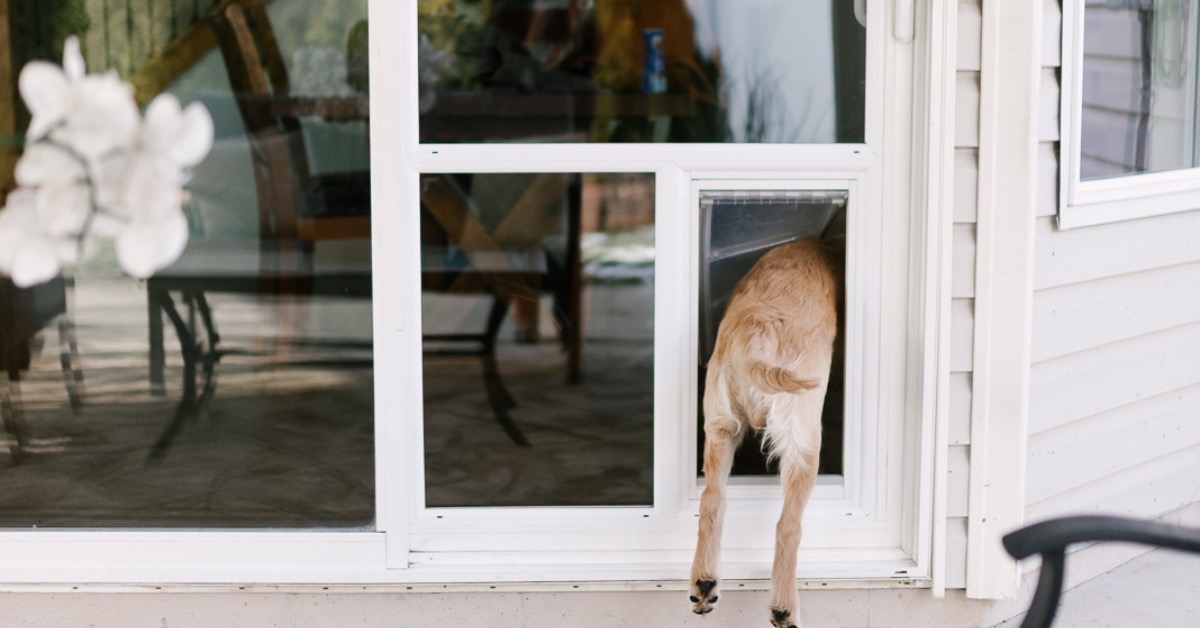 Custom Dog Door Sliding Glass in Utah - Pet Doors in Utah