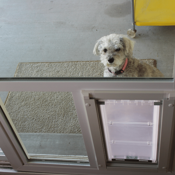 Professional pet door installation versus DIY insert panel