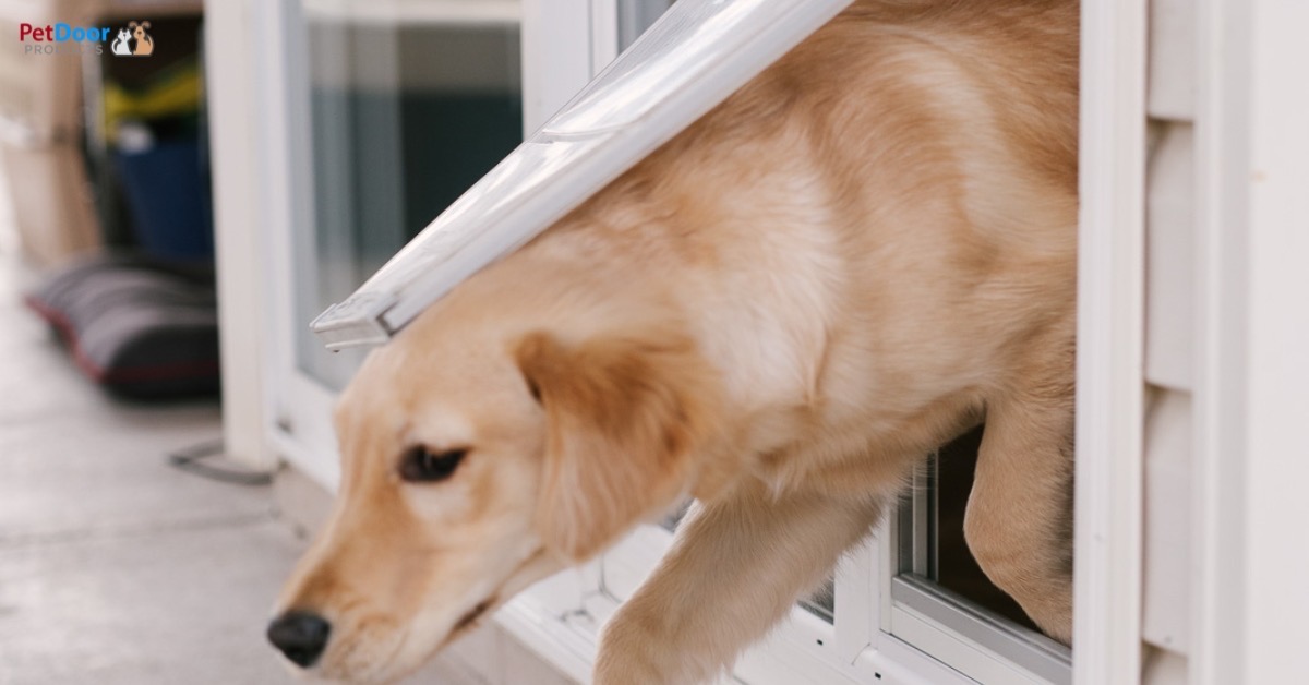Sliding Door Doggie Doors: Enhance Your Home's Appearance
