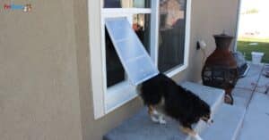 Custom sliding glass pet door installed in a Utah home