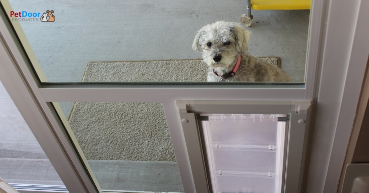 sliding-door-doggie-door-insert-utah-home