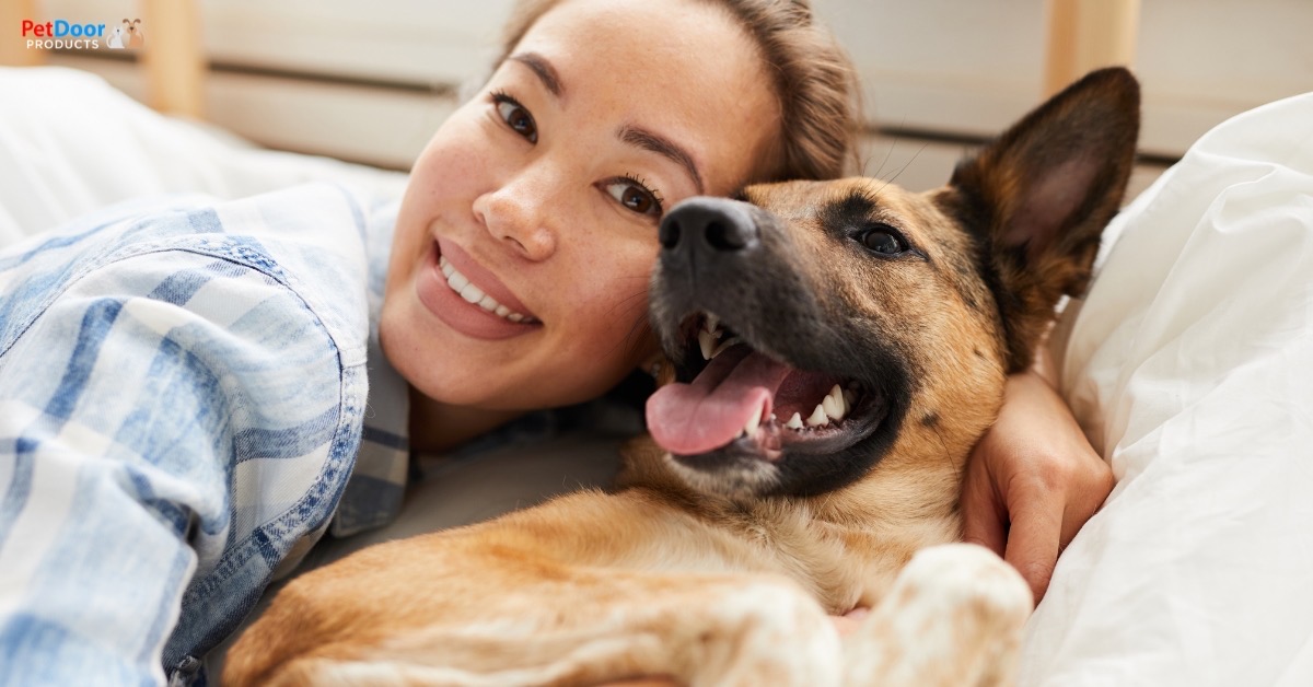 Helping a dog overcome separation anxiety photo - Pet Door Products