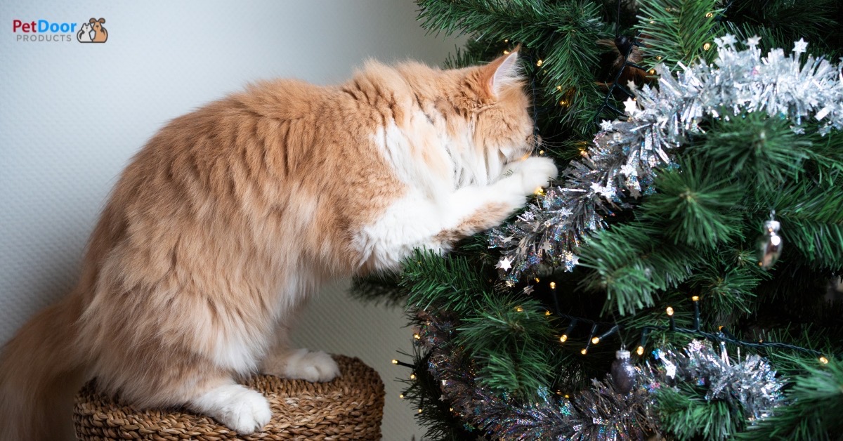 How to Keep Your Cats Out of Your Christmas Tree This Season