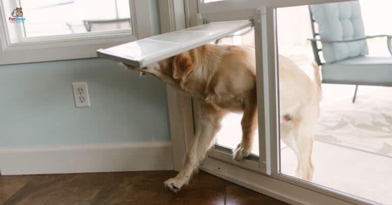Homeowner cleaning a sliding glass door with a built-in pet door.