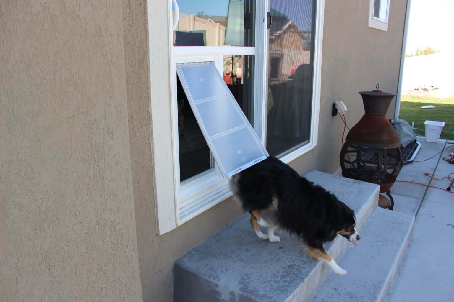 Sliding Glass Pet Door Utah - Best Pet Doors for Sliding Glass