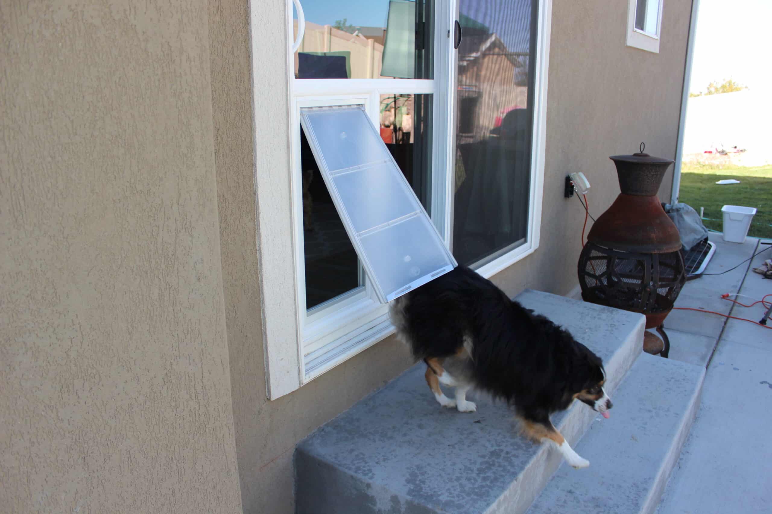 Automatic Dog Door For Door With Collar Sensor, Medium Electronic Dog Door With Anti-Pinch, Mains-Powered, Timing Function, Metal Frame&Panels- M
