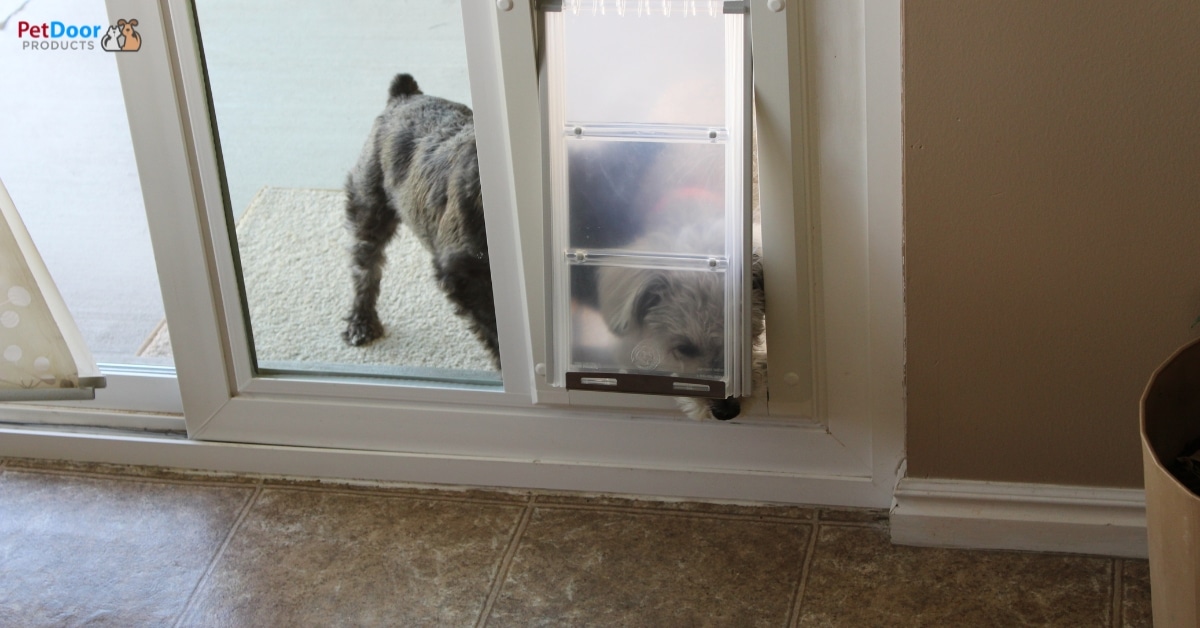 Expert Doggy Door Installation - Maximizing Pet Happiness in Utah