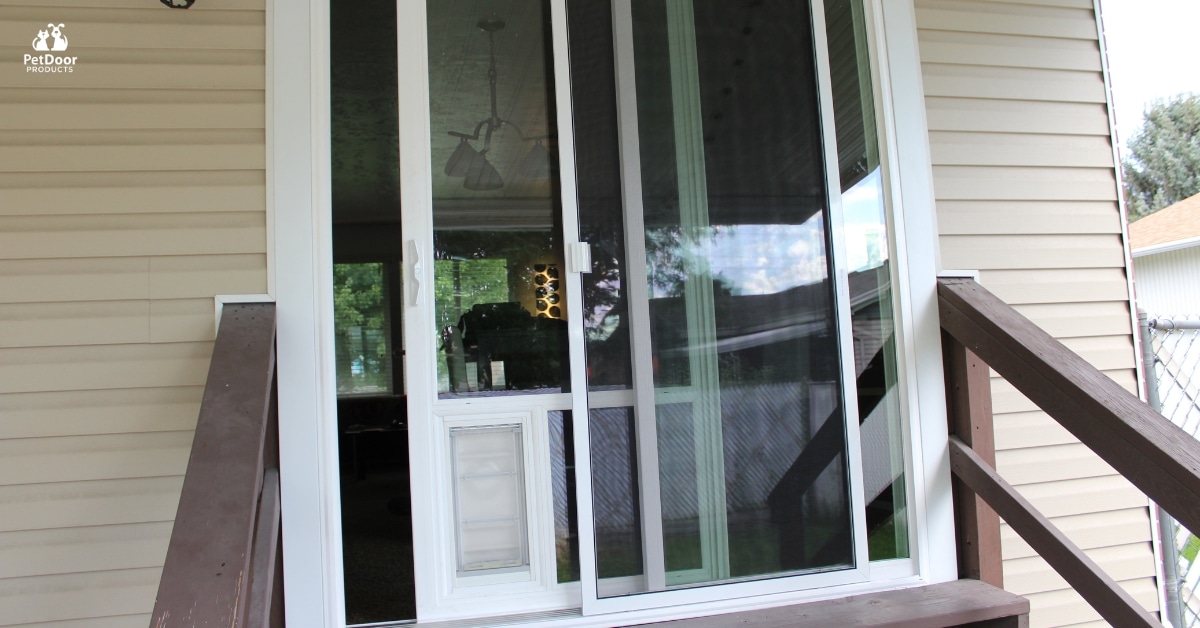 Modern sliding glass door with a dog sitting near the patio entrance in a bright contemporary home.