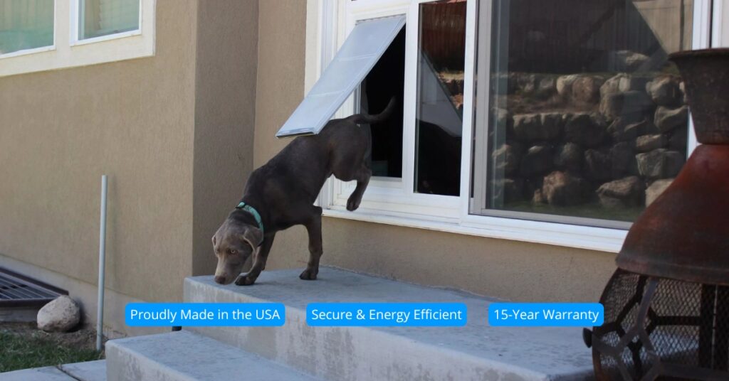 Pet door size guide for dogs and cats - find the right fit for your pet