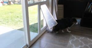 Utah home with a sliding glass door dog door, providing cozy winter comfort for pets