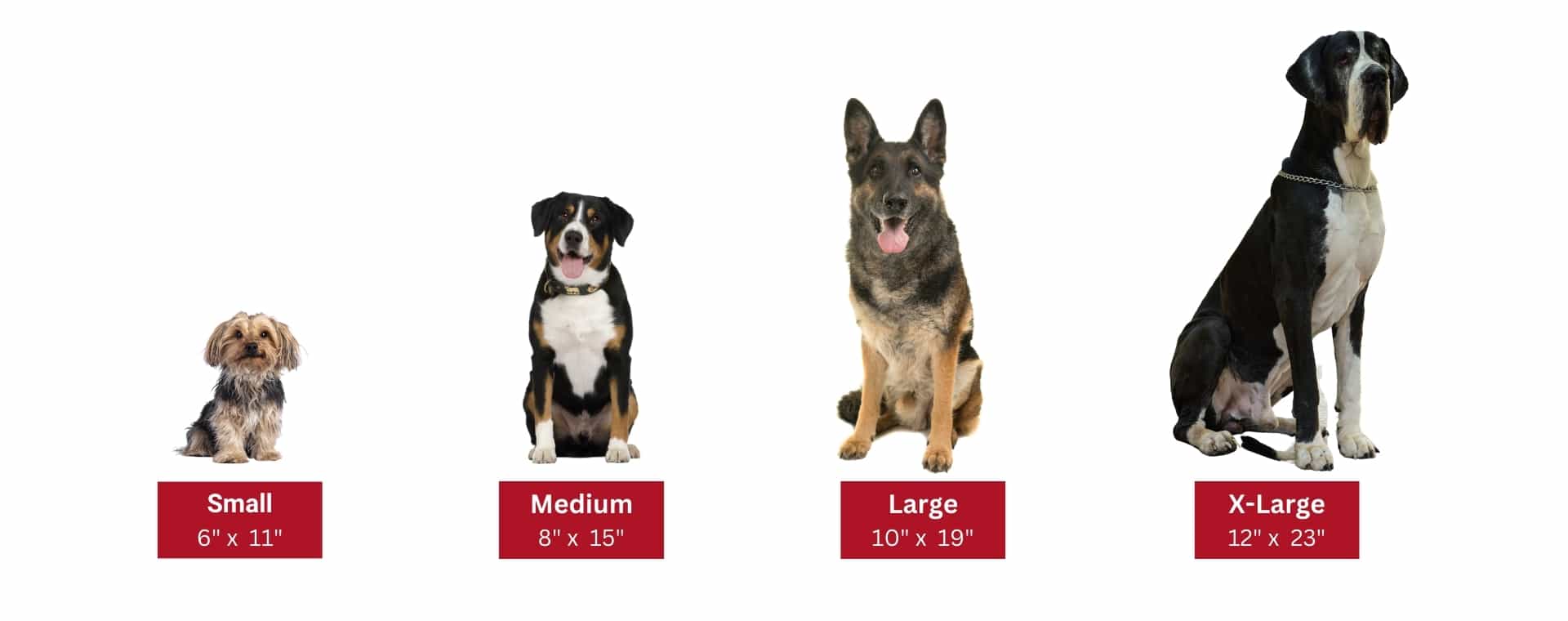 Suggested Sizes for Pet Doors