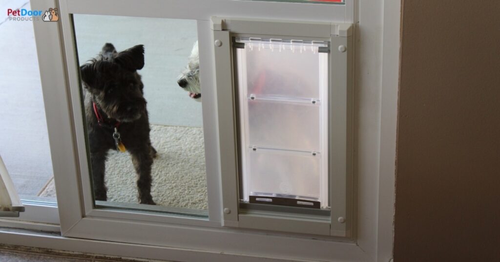 Summer Home Revamp in Utah Sliding Door Dog Door