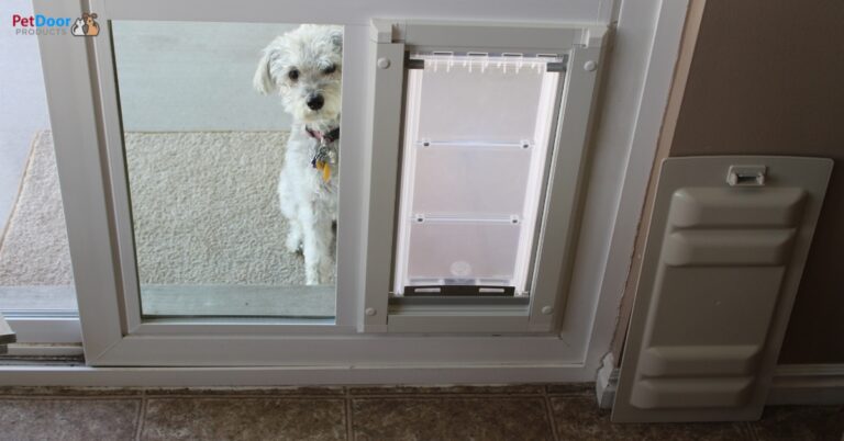Tag: Small pet using the perfect pet door for small pets, designed for sliding glass doors.